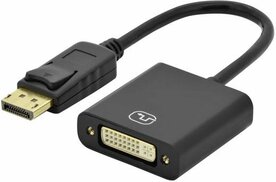 DisplayPort naar DVI Adapter &ndash; 20 cm &ndash; DisplayPort Male naar DVI Female