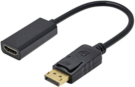 Displayport naar HDMI adapter convertor